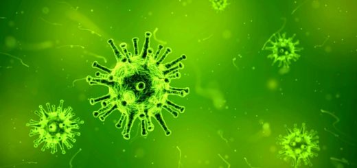 wirus-grypa-przeziebienie