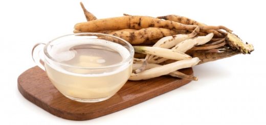 Shatavari dziki szparag