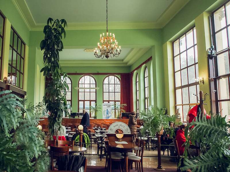 Kawiarnia “Cafe Sissi” w budynku Pijalni Wód w Kudowie-Zdroju. Kawiarnia urządzona jest w stylu wiedeńskim, w tle roślinność i piękny kryształowy żyrandol.